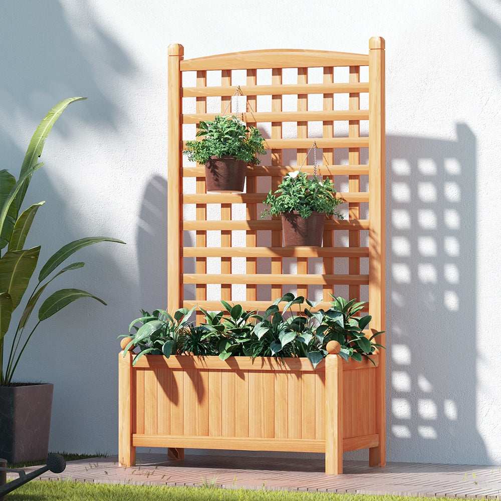 247 Garden Shop 247gardenshop 247-garden-shop-247gardenshop